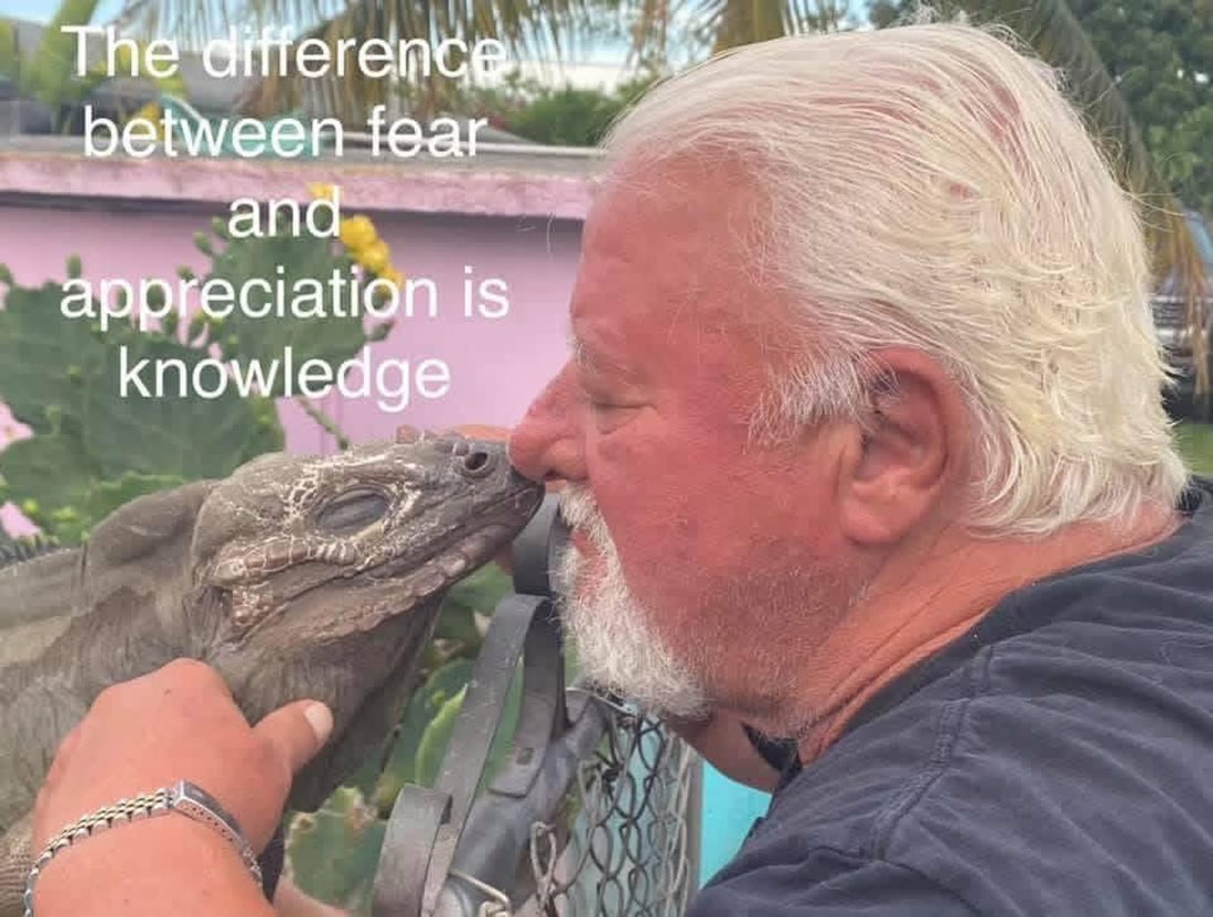 Tom Crutchfield nose-to-nose with a rhino iguana — the difference between fear and appreciation is knowledge