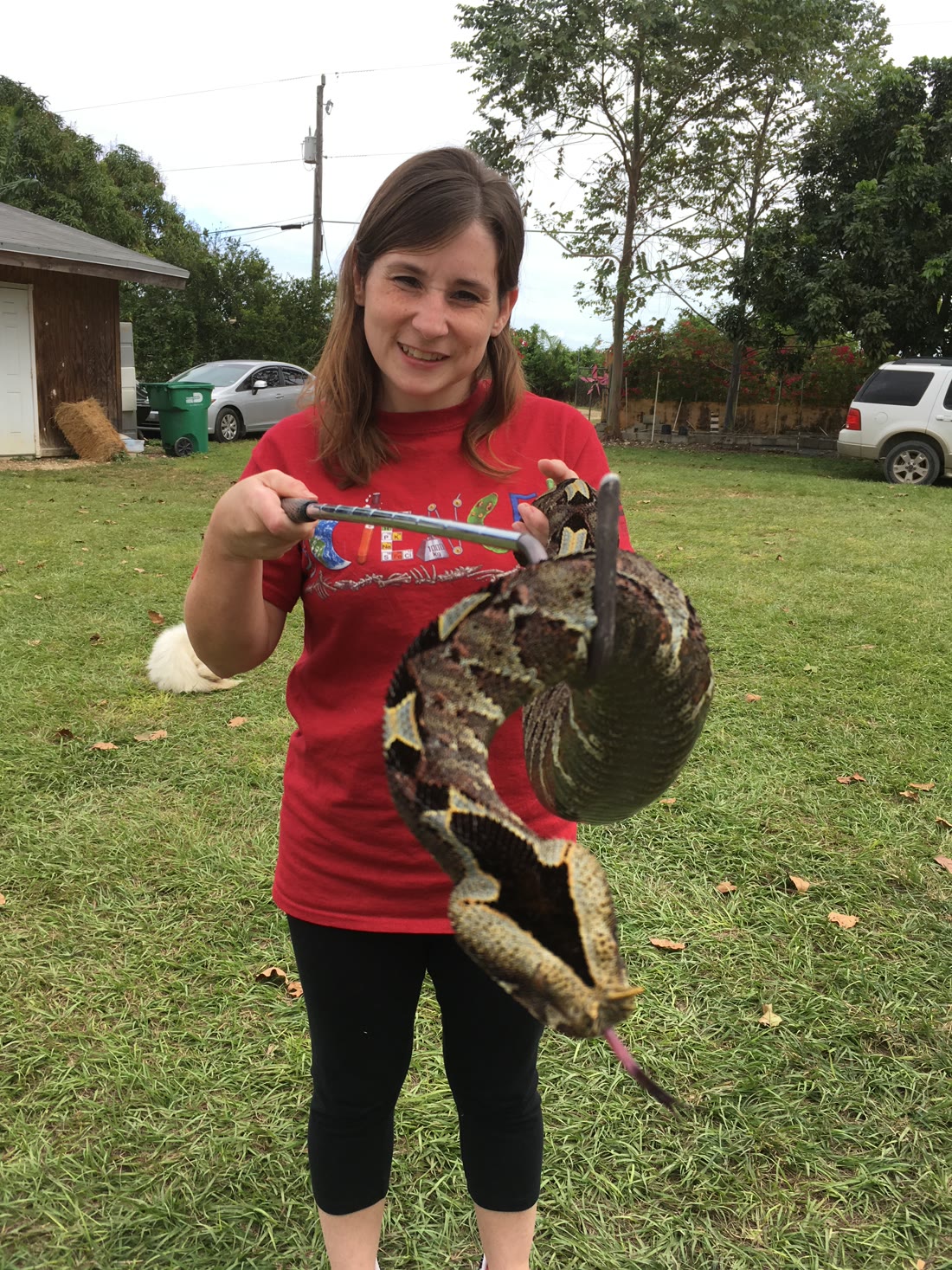 Stacy handling a rhino viper
