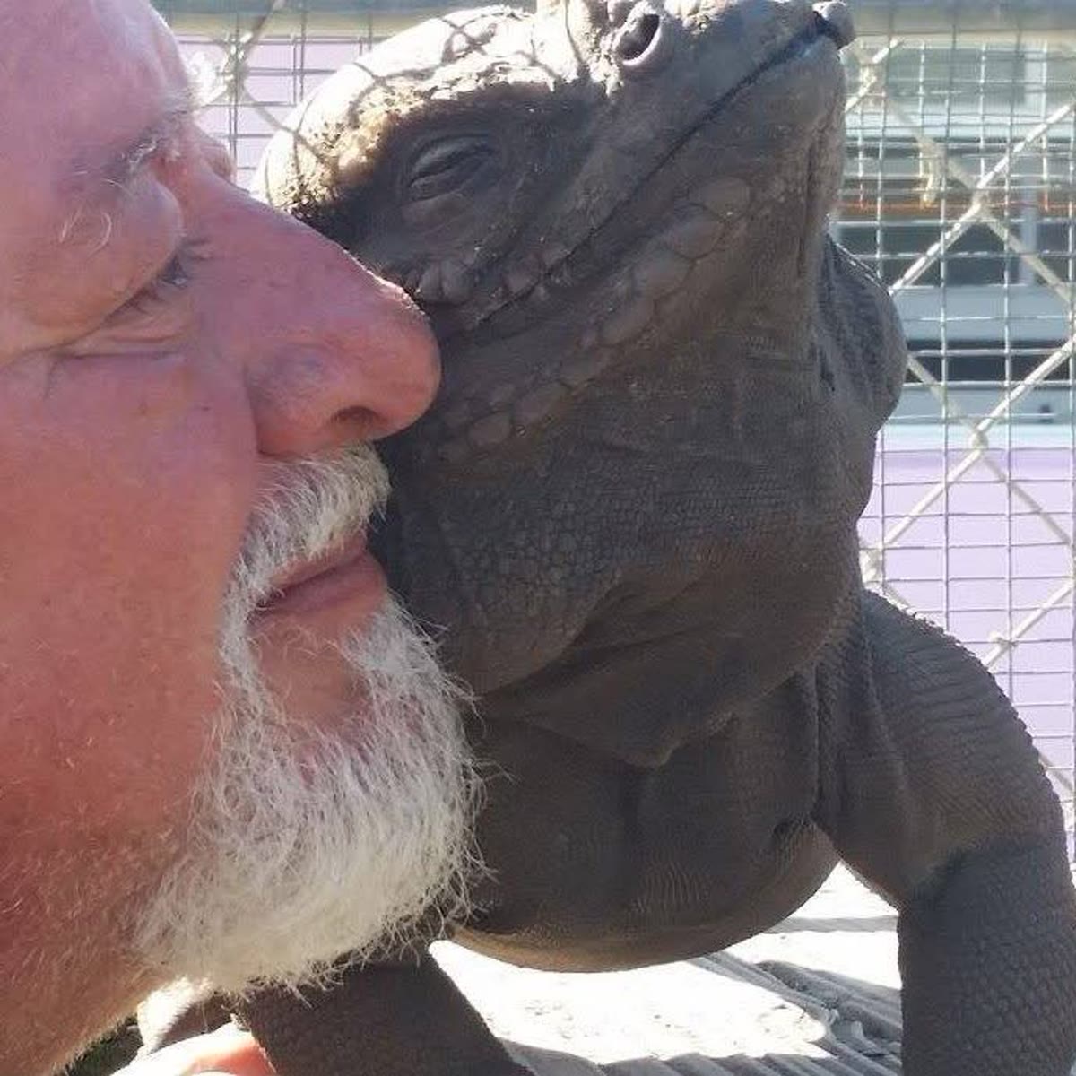Gentle with the animals he’s devoted his life to.
