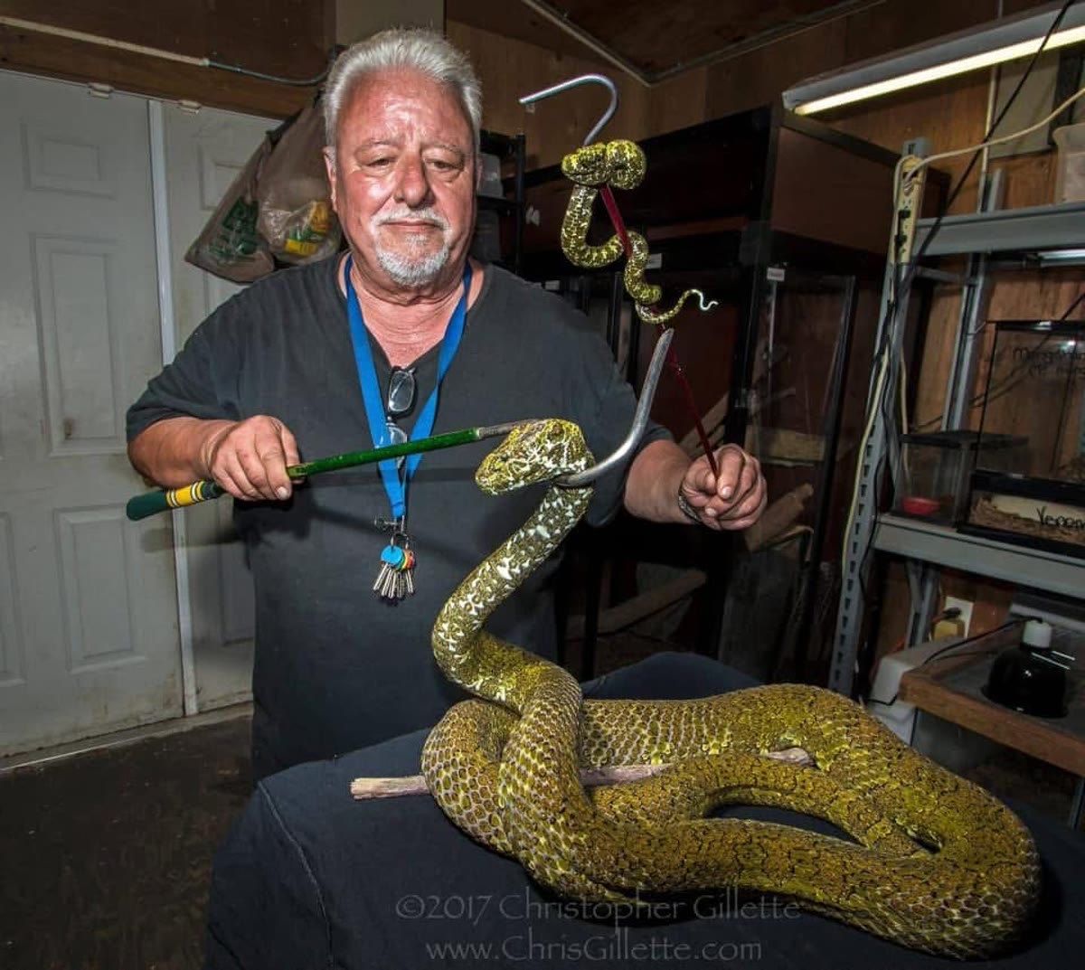 Decades of venomous experience.